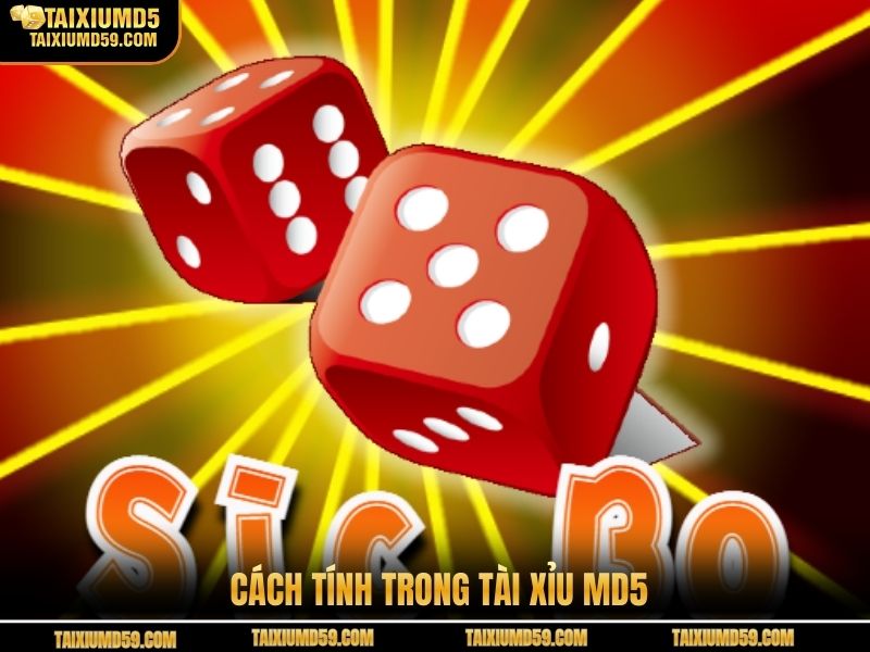 Cách tính trong tài xỉu MD5