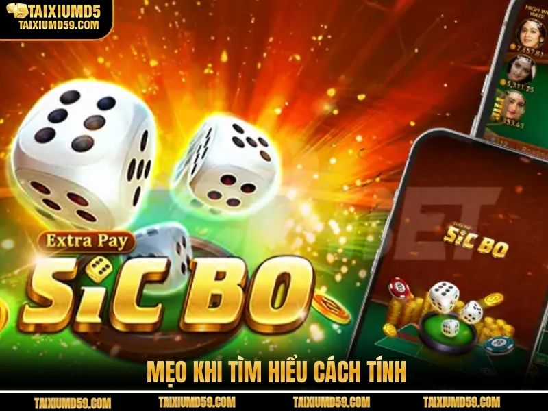 Mẹo khi tìm hiểu cách tính